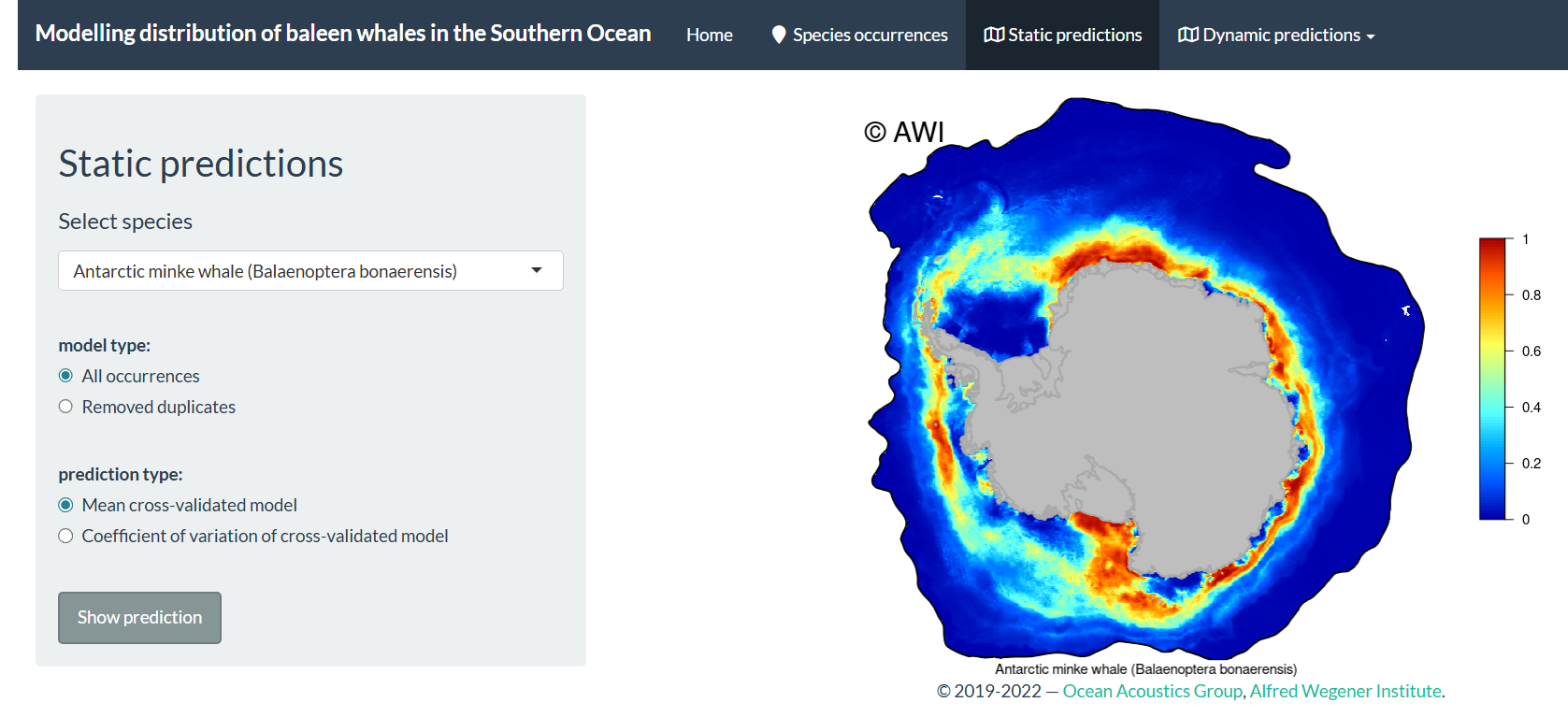 The distribution of the baleen whales in the Southern Ocean shiny app