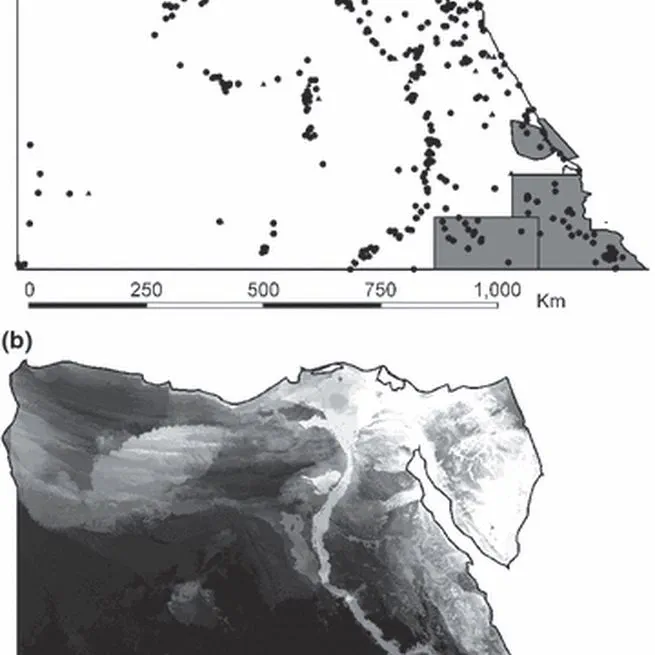 Climate-based models of spatial patterns of species richness in Egypt’s butterfly and mammal fauna