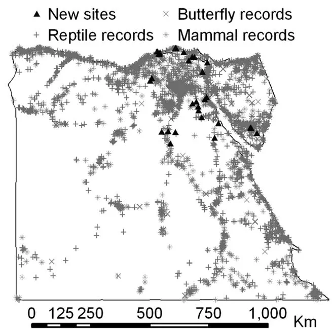 Testing the accuracy of species distribution models using species records from a new field survey