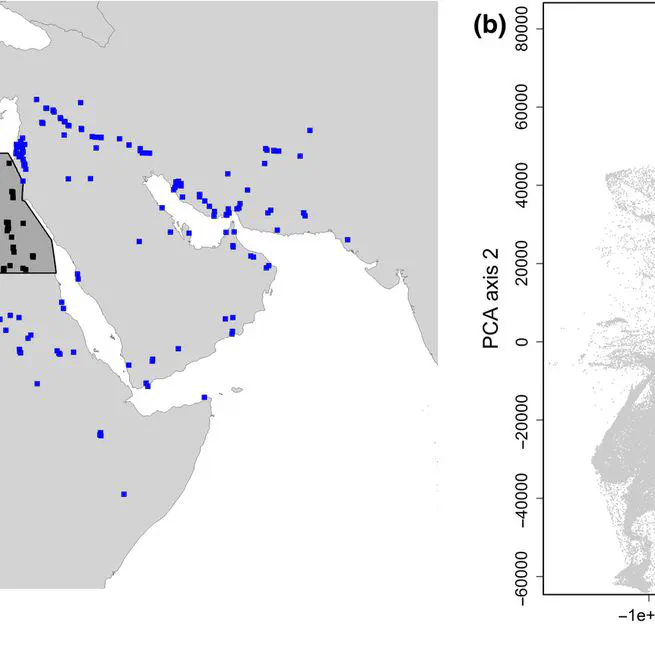 Wrong, but useful: regional species distribution models may not be improved by range-wide data under biased sampling