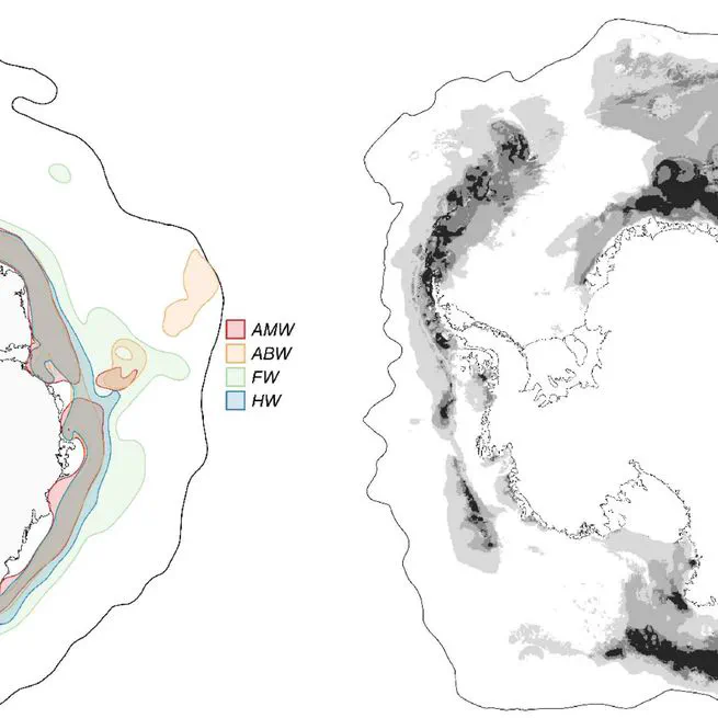 Dynamic species distribution models in the marine realm: predicting year-round habitat suitability of baleen whales in the Southern Ocean