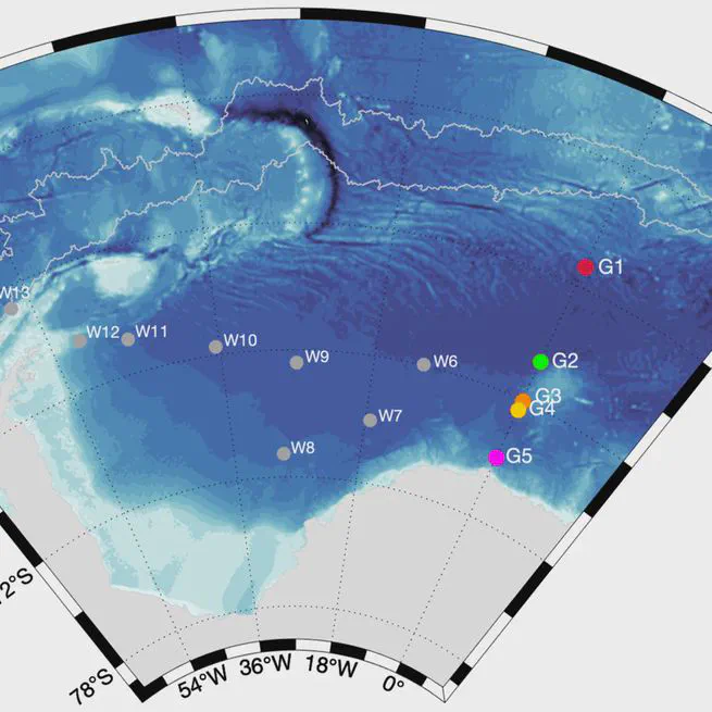 Multi-year presence of humpback whales in the Atlantic sector of the Southern Ocean but not during El Niño