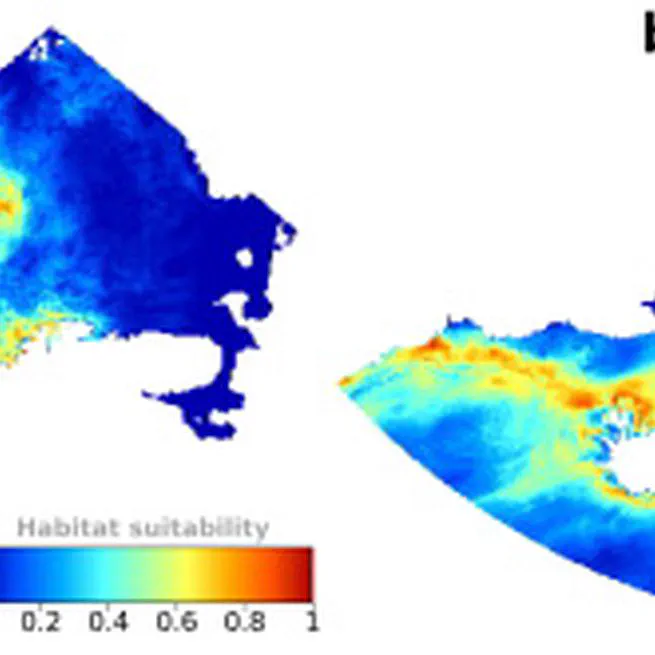 Fin whale (Balaenoptera physalus) distribution modeling on their Nordic and Barents Seas feeding grounds