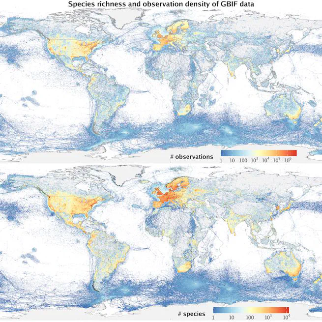A global, taxon-stratified, high-resolution sampling-effort dataset from GBIF for bias-aware ecological modelling